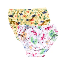 Kit 5 Children's Boy Slip Briefs With Lining - Multicolor - Ver 2