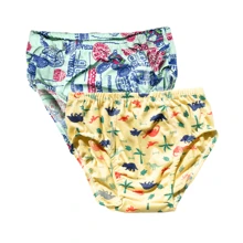 Kit 5 Children's Boy Slip Briefs With Lining - Multicolor - Ver 3