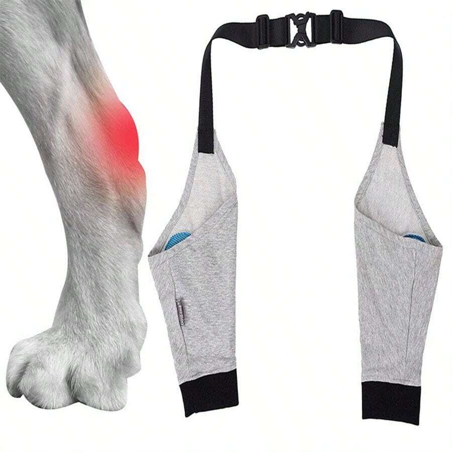 Medical Grade Fracture & Disability Dog Joint Protection Equipment