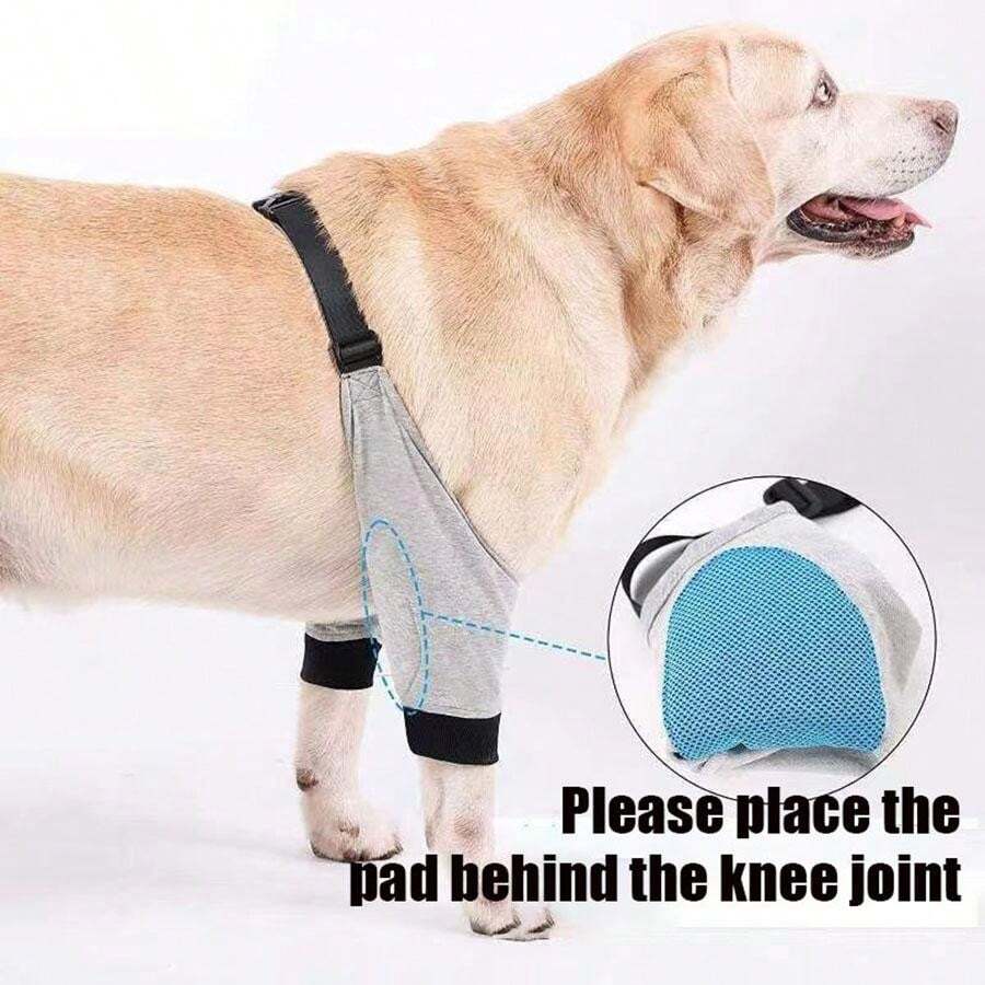 Medical Grade Fracture & Disability Dog Joint Protection Equipment