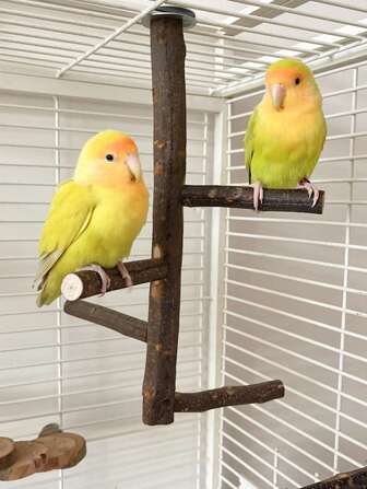 1pc Wooden Rotating Parrot Stand Cage Accessories Suitable For Birds