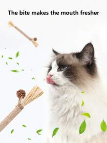 3/6 件猫咀嚼玩具，耐用的猫薄荷和剑麻绳咀嚼棒，帮助清洁宠物猫的牙齿