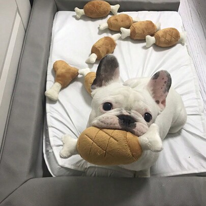 1pc Plush Pp Chicken Bone Shaped Teeth Cleaning And Interactive Squeaky Dog Toy, Suitable For Small And Medium Dogs