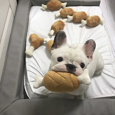 1 件毛絨 Pp 雞骨形狀牙齒清潔和互動吱吱聲狗玩具,適合中小型犬