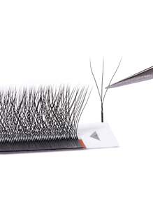 Yelix 12 排 3D W 形睫毛手工编织预制扇形睫毛延长柔软自然优质 0.07 毫米厚度 B/C/CC/D 卷曲睫毛睫毛簇、睫毛簇、单根睫毛、睫毛、假睫毛