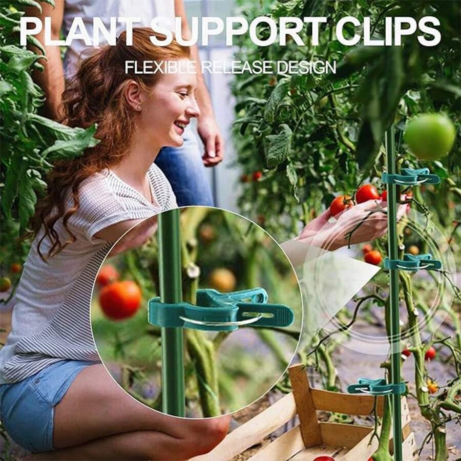 不锈钢弹簧夹番茄棚架 DIY 配件，户外植物支撑夹，适用于番茄、蔬菜、藤蔓、栅栏、豆类、通用植物攀爬固定工具 - 多色 - 查看 1