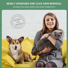 适用于狗和猫的便携式宠物毛发吹风机和美容刷 - 顺畅高效干燥，减少脱落和缠结 - 美規A型插(110-127V) - 查看 3