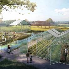 VA-Cerulean Free-Range Chicken Coop, 3x2x2m/3x4x2m/3x6x2m/3x8x2m, Galvanized Steel Frame, Small Animal Coop With PE Roof, Chicken Coop Cages For Poultry, Rabbits, Small Pets And Dogs - Green - View 7