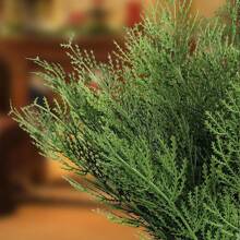 20 piezas de ramas artificiales de pino, plantas verdes falsas de plástico - Accesorios DIY para días festivos, regalos del Día de San Valentín, decoración del hogar, decoración navideña, decoración de habitaciones - Verde - Ver 6