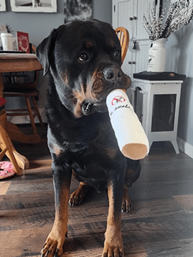 1pc Cigarette Shaped Pet Chew Toy, 