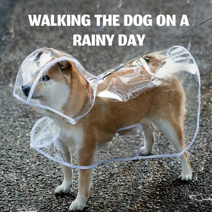 Transparent Raincoat Cloak For Medium Large Dogs Like Golden Retriever Chow Chow Waterproof Pet Outdoor Jacket SHEIN USA