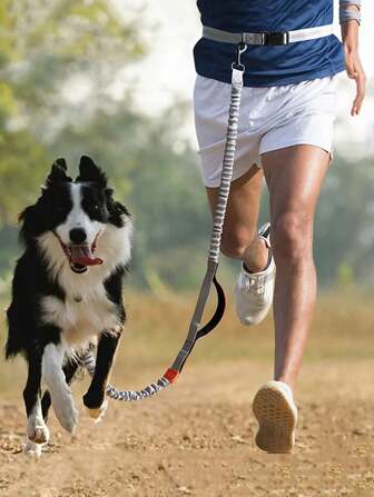 1pc Dog Leash, With Elasticity And Reflective Threads, Suitable For Running And Walking Dogs Outdoors