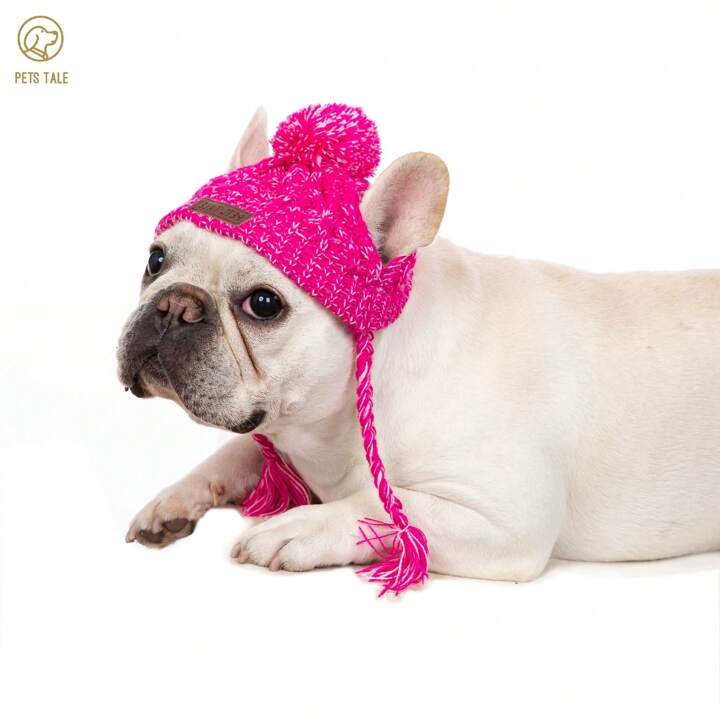 ☆子犬わたあめ用☆ニット帽＋しっぽサロペット＋たっち靴＋α☆４点set☆ ☆子犬わたあめ用☆ニット帽＋しっぽサロペット＋たっち靴＋α☆4点set☆