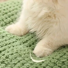 柔软透气的毛绒可爱宠物床，开放式设计温暖宠物窝，适合猫和小型犬（圆床设计） - 薄荷綠 - 查看 9