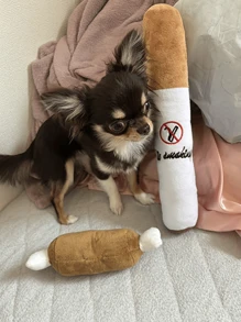 1 Đồ chơi hút thuốc giả sang trọng thực tế cho thú cưng, có chip âm thanh, không thích hợp để nhai (Lưu ý: Kích thước S không có chip âm thanh) - Nhiều màu - Xem 10