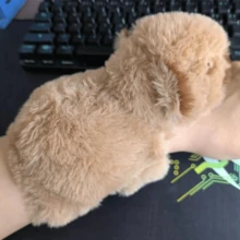 Random Style Cute Plush Capybara Bracelet, Plush Capybara Keychain, Birthday Gift - Multicolor - View 5