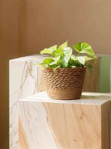 1pc Woven Seagrass Plant Basket, Indoor Woven Flower Pot, Indoor Outdoor Garden Decor, Woven Planter Basket For Potted Greenery