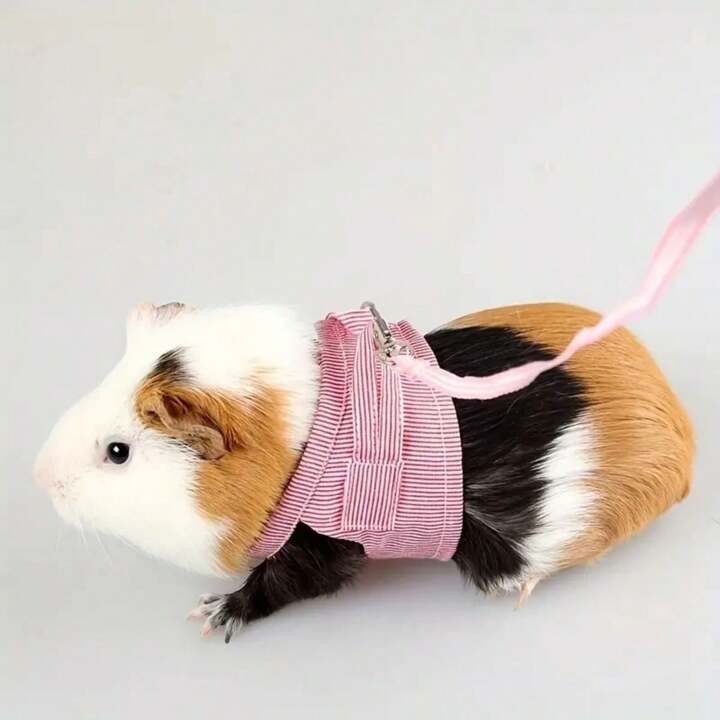 AIITLE Rabbit Harness And Leash Set With Cute Bow, Adjustable