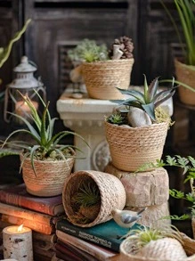 1pc Woven Seagrass Plant Basket, Indoor Woven Flower Pot, Indoor Outdoor Garden Decor, Woven Planter Basket For Potted Greenery