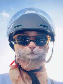 1pc Cute Dog & Cat Print Face Mask For Men, Summer, Outdoor Travel Sun Protection Neck Cover - Animal Masks - View 5