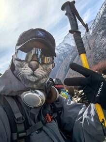 1pc Cute Dog & Cat Print Face Mask For Men, Summer, Outdoor Travel Sun Protection Neck Cover - Animal Masks - View 4