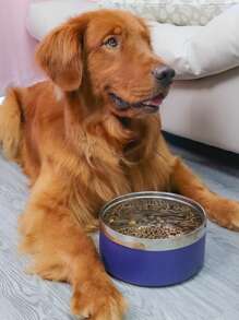 Supet 1 Peça Tigela para Cachorro Redonda Reforçada de Aço Inoxidável, Cor Sólida Estilosa, Tigela para Gato e Cachorro Antiderrapante, Adequada para Uso Interno e Externo