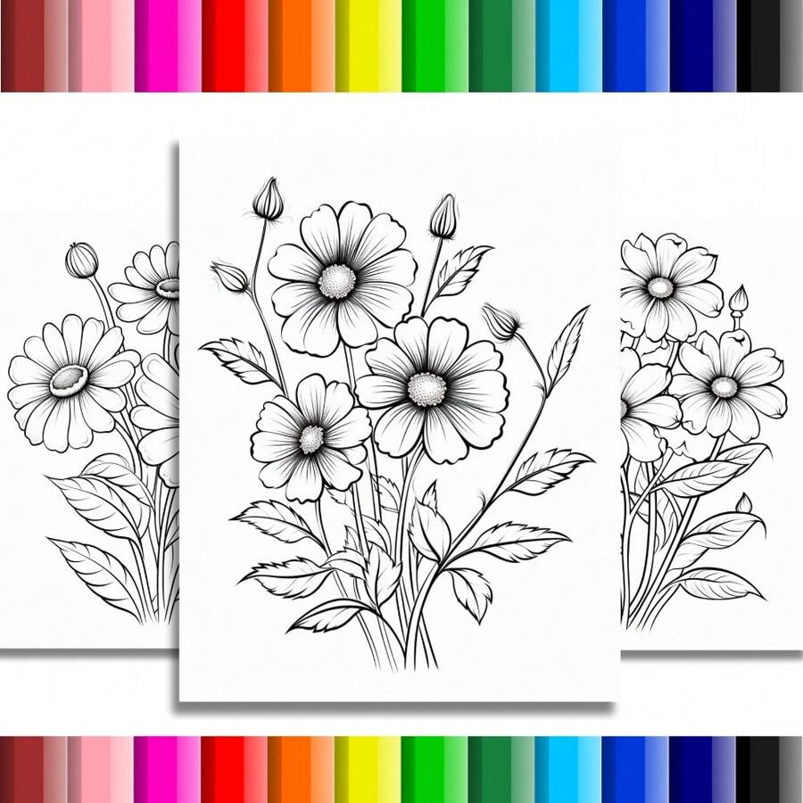 Coloring Pages Flowers Daisies 50 Drawings - 25 A4 Sheets - 2 Drawings ...