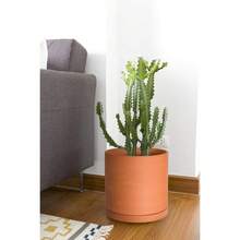 Large 10 Inch Terracotta Plant Pot With Drainage Hole And Saucer, Round Cylinder Planter Pot For Indoor Plants, 40-B-T-10-1 - 巧克力棕 - 查看 2