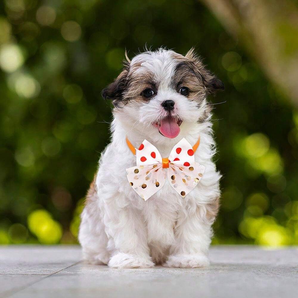 5pcs Random Color Polka Dot Bow Tie Pet Collar, Lace Edge Dog Collar