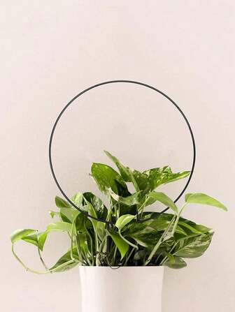 1pc/3pcs Circular Iron Garden Trellis Climbing Plant Support Spike