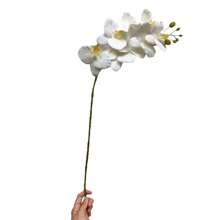 Galho Haste Orquídea Branco Artificial Folhagem Decoração Para Arranjos