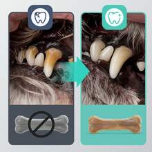 Nobleza - Hueso Prensado para Perros Fortalecedor de Dientes Stick Dental Dog Snack, Hueso de Nudillos Crudo, Hueso para morder, 7.6cm,12pcs