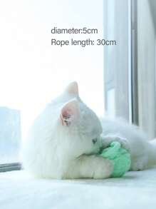 1pc Plus Cat Teaser Ball