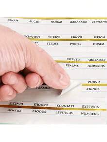 80 Bible Tags, Sticky Index Tags, 80 Tags, Bible Index Tags, Old And New Testaments (Includes 64 Books And Blank Tags) Self-Editable Written Tags, Bible Book Tags, - Multicolor - View 6