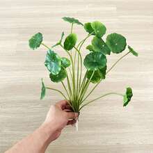 仿铜币草和秋海棠叶盆栽植物壁挂人造装饰 - 綠色 - 查看 7