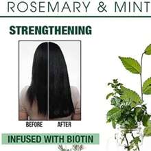 Mielle Aceite Fortalecedor Del Cabelludo, Cabello 59ml/2fl.oz,Romero menta, aceite esencial para el cuidado del cabello, hidratante e hidratante, repara el cabello dividido,Acondicionador de cabello,Aceites esenciales para cabello,Aceites esenciales de las plantas,Desechables - Verde Oliva - Ver 5