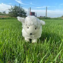 Plush Sheep Various Colors Soft Cute Bow 22 Cm - 白色 - 查看 1