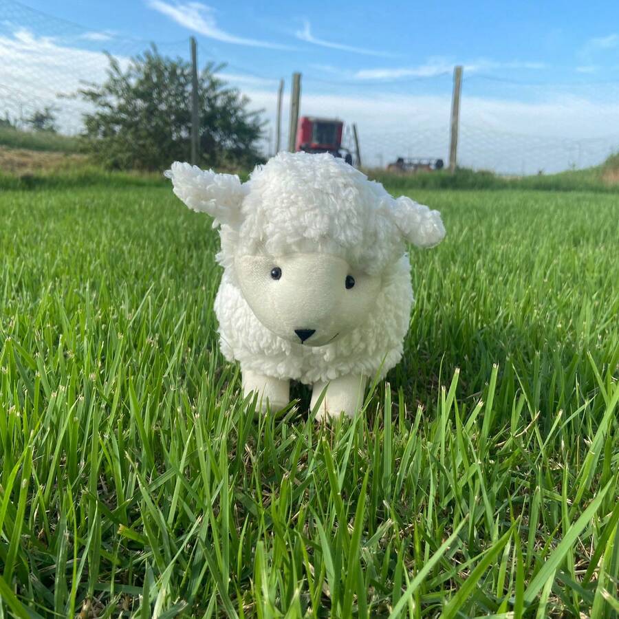 Plush Sheep Various Colors Soft Cute Bow 22 Cm - 白色 - 查看 1