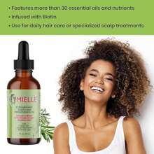 Mielle Aceite Fortalecedor Del Cabelludo, Cabello 59ml/2fl.oz,Romero menta, aceite esencial para el cuidado del cabello, hidratante e hidratante, repara el cabello dividido,Acondicionador de cabello,Aceites esenciales para cabello,Aceites esenciales de las plantas,Desechables - Verde Oliva - Ver 2