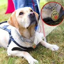 Small Emotional Support Animal ESA Tag Red Medical Alert Symbol 1 Inch ID Tag. Easily Switch Between Necklace Collars Harness And Vest - Silver - View 6