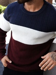 Men's Colorblock Crew Neck Long Sleeve Sweater