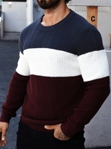 Men's Colorblock Crew Neck Long Sleeve Sweater