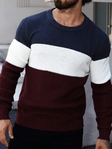 Men's Colorblock Crew Neck Long Sleeve Sweater
