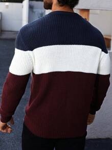 Men's Colorblock Crew Neck Long Sleeve Sweater