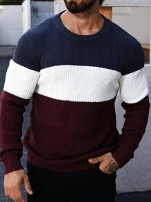 Men's Colorblock Crew Neck Long Sleeve Sweater