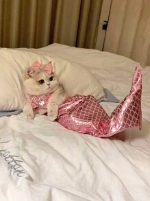 Bikini Cat Clothes Fish Tail Swimsuit Set Cute And Funny Cross Dressing Clothes Styling Props Halloween Halloween Costumes - Multicolor - View 7