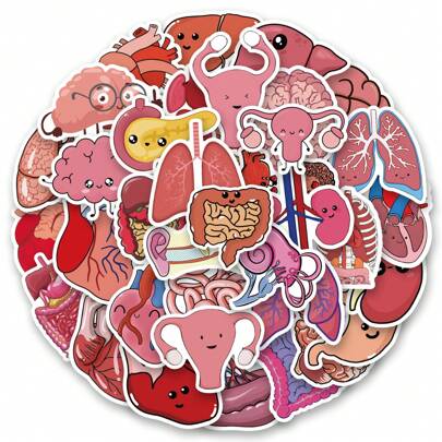50 piezas Pegatinas de órganos humanos Pegatinas de vinilo estéticas Calcomanías para álbum de recortes, diario, computadora portátil, parachoques, monopatín, botellas de agua, computadora, teléfono papelería manualidades libro de sticker estikers