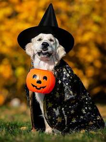 1/2/5/10 件儿童万圣节黑女巫帽万圣节服装女巫配饰帽子万圣节庭院派对装饰礼品 - 黑色 - 查看 10