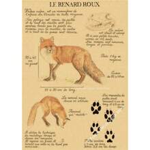 1 件,自然研究红狐/龙/象/凤凰/夜骐/狼/野兔海报印刷品牛皮纸复古家居房间装饰墙画可选框架 - 彩色 - 查看 28