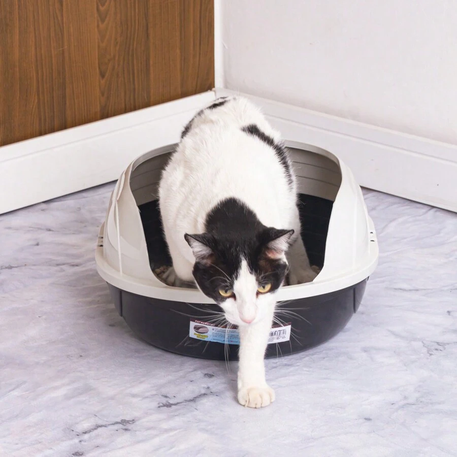 Furba Cat Litter Box Large Bath Basin Tray SHEIN PT
